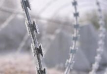 В Запорожской области враг совершил 11 атак на Гуляйпольском и Ореховском направлениях – Генштаб