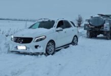 В Запорожье из-за непогоды на автодорогах застряли машины, а также повалило дерево на автомобили