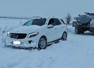 В Запорожье из-за непогоды на автодорогах застряли машины, а также повалило дерево на автомобили