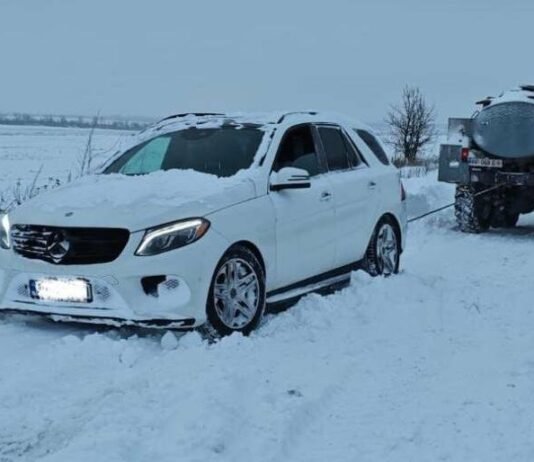 В Запорожье из-за непогоды на автодорогах застряли машины, а также повалило дерево на автомобили