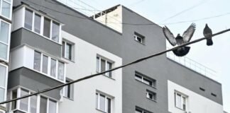 «Передача квартир будет происходить поэтапно»: как подходит к концу восстановление домов на Запорожской, — ФОТОРЕПОРТАЖ