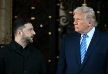 Зеленский встретится с Трампом в Давосе для обсуждения мирного плана, — Axios