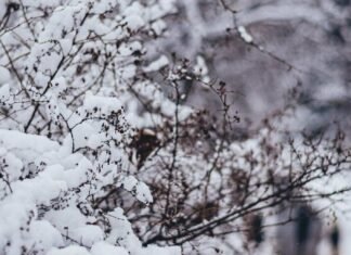 В Запорожье сохранится холодная погода и гололедица