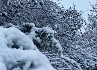 В Запорожье ожидаются небольшие осадки и гололедица