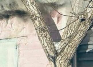 Российский дрон атаковал Запорожье: поврежден жилой дом