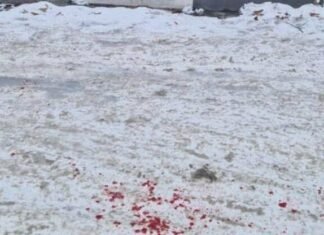 Сообщил о намерении самоубийства: стали известны подробности инцидента с огнестрельным оружием с участием подростка в Запорожье