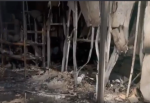 В Запорожье ночью россияне атаковали магазин JYSK, расположенный в центре города