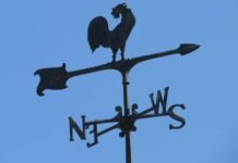 В Запорожье ожидаются сильные порывы ветра: объявлено штормовое предупреждение