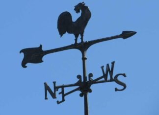 В Запорожье ожидаются сильные порывы ветра: объявлено штормовое предупреждение