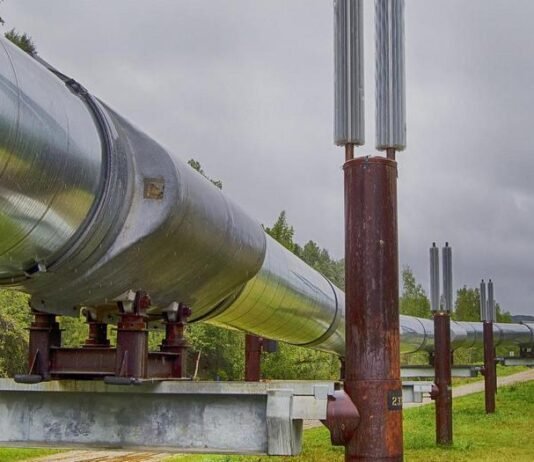 «Напоминает наркоманию». В МИД ответили на упреки Венгрии по поводу «Дружбы»