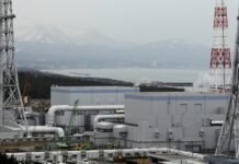 Япония перезапустила крупнейшую в мире атомную электростанцию после сбоя