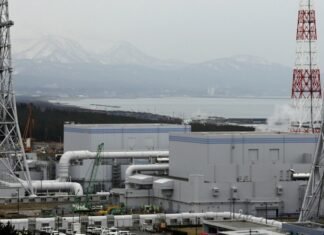 Япония перезапустила крупнейшую в мире атомную электростанцию после сбоя