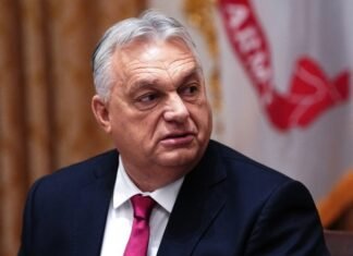 Венгрия и Словакия хотят проверить состояние нефтепровода «Дружба»: инспекторы приедут в Украину