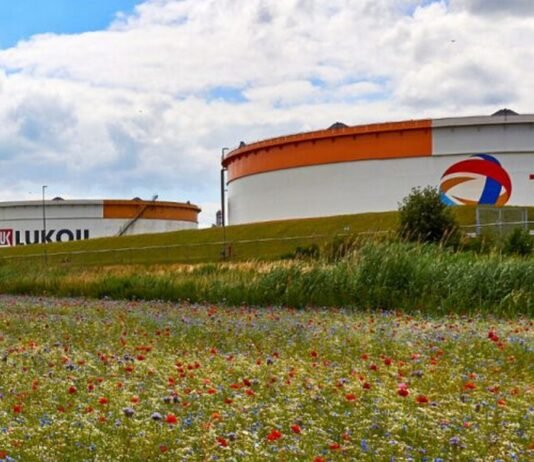 Лукойл потерял НПЗ в Нидерландах: его долю выкупила TotalEnergies