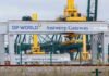 DP World начала терять поддержку инвесторов из-за связей CEO с Эпштейном