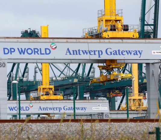 DP World начала терять поддержку инвесторов из-за связей CEO с Эпштейном