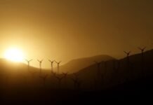 Минэкономики согласовало проект ВЭС на полонине Руна: Экологически безопасный и стратегически важный