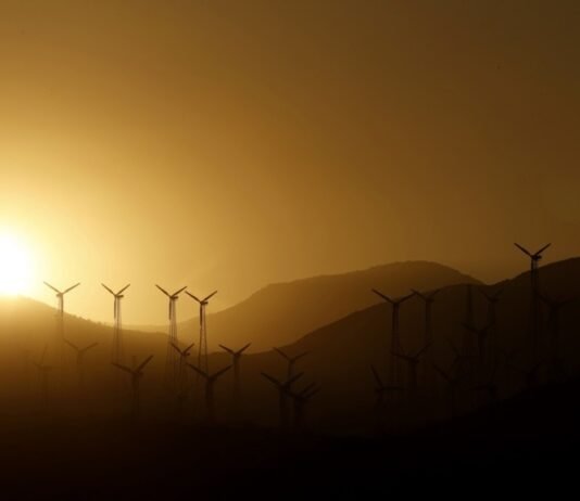 Минэкономики согласовало проект ВЭС на полонине Руна: Экологически безопасный и стратегически важный