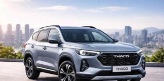 Во Вьетнаме у автомобильной компании основателя «Мивины» появился конкурент