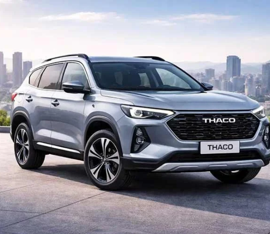 Во Вьетнаме у автомобильной компании основателя «Мивины» появился конкурент