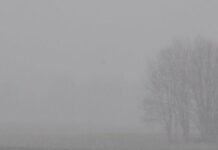 В Запорожской области объявили штормовое предупреждение из-за тумана