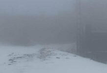 В Запорожской области объявили штормовое предупреждение: ожидается туман и сильный ветер