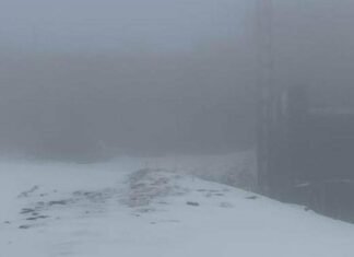 В Запорожской области объявили штормовое предупреждение: ожидается туман и сильный ветер