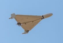 Россияне начали транспортировать FPV-дроны «Шахедами»: Флеш обратился к украинским защитникам