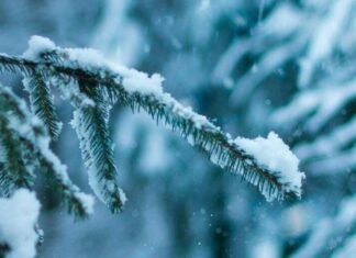 В Запорожье ожидаются небольшие осадки и слабый гололед