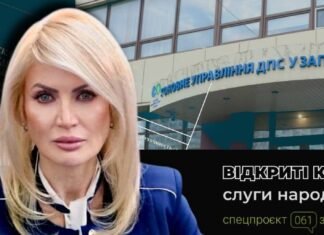 Зарплата, госпомощь и старые обязательства: что декларирует глава налоговой службы Запорожской области