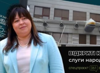 Квартира под Киевом, новенький BMW и 5,3 млн. зарплаты: что задекларировала новая и.о. гендиректора АО «Мотор Сич»