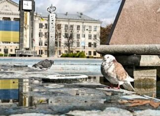 В Запорожье меняют программу финансовой помощи для людей, чье жилье разрушила война