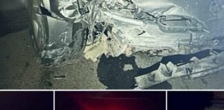 В Запорожье нетрезвый водитель совершил ДТП во время комендантского часа