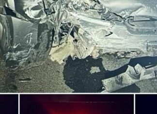 В Запорожье нетрезвый водитель совершил ДТП во время комендантского часа