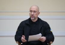 Шмыгаль предложил партнерам создать Energy Task Force: что это за структура