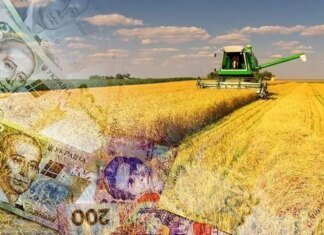 В Запорожье анонсировали агрострахование и новые инструменты поддержки бизнеса