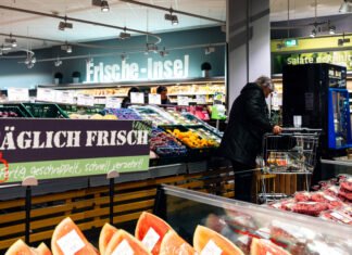 «Это прорыв. Евросоюз запустил ИИ-инструмент для усиления контроля безопасности пищевых продуктов