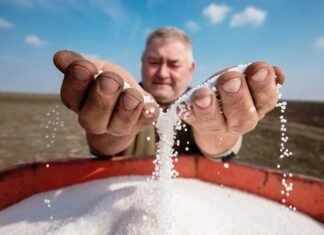 Война на Ближнем Востоке блокирует поставки минудобрений. Миру грозит нехватка продовольствия – FT