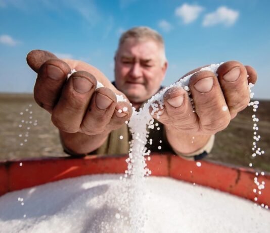 Война на Ближнем Востоке блокирует поставки минудобрений. Миру грозит нехватка продовольствия – FT