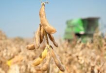 Испанские фермеры пожаловались в Еврокомиссию на «незаконную» украинскую пошлину