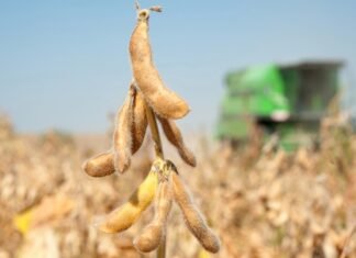 Испанские фермеры пожаловались в Еврокомиссию на «незаконную» украинскую пошлину