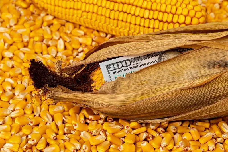 Эффект Тегерана. Как война в Иране поможет украинским аграриям заработать