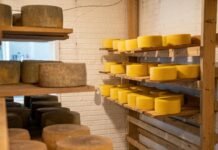 Польские поставщики готовы активно демпинговать украинский рынок сыра – Инфагро