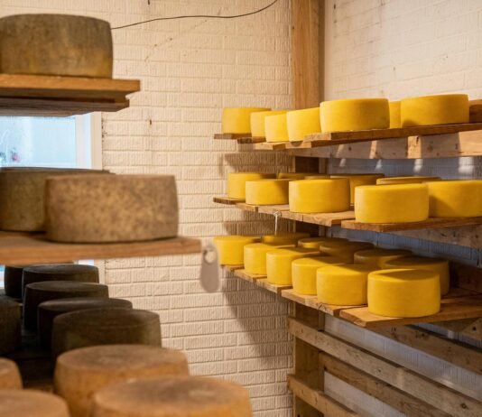 Польские поставщики готовы активно демпинговать украинский рынок сыра – Инфагро