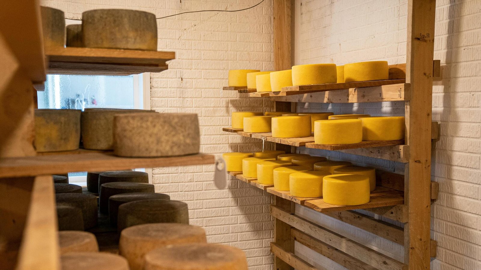 Польские поставщики готовы активно демпинговать украинский рынок сыра – Инфагро