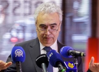 Глава IEA считает экономически и политически неправильным возвращение к российскому газу