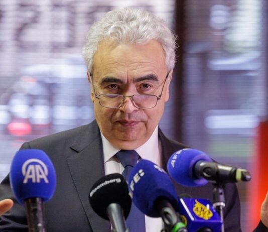 Глава IEA считает экономически и политически неправильным возвращение к российскому газу