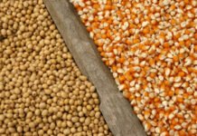 Хамон с украинским акцентом. Как украинские аграрии выигрывают от ссоры Трампа с Испанией