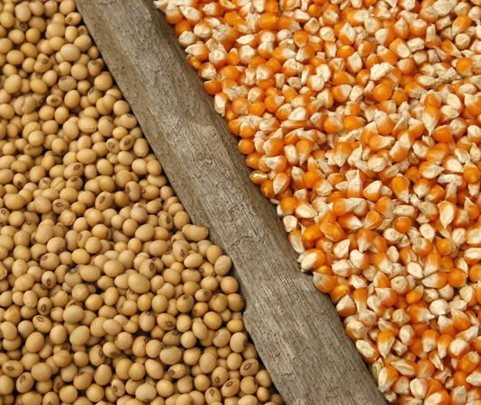 Хамон с украинским акцентом. Как украинские аграрии выигрывают от ссоры Трампа с Испанией