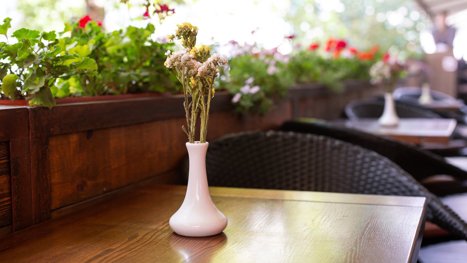 Летние площадки заведений Киева могут начать работу раньше: в КГГА назвали дату